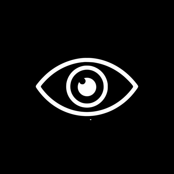 eye-icon-black-on-white-600nw-2480721947-ezgif.com-webp-to-jpg-converter_inverted